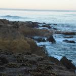 Cambria_0584 (November 02, 2013)
